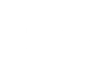 [SITE] LOGO RIC VIDEOCASTS