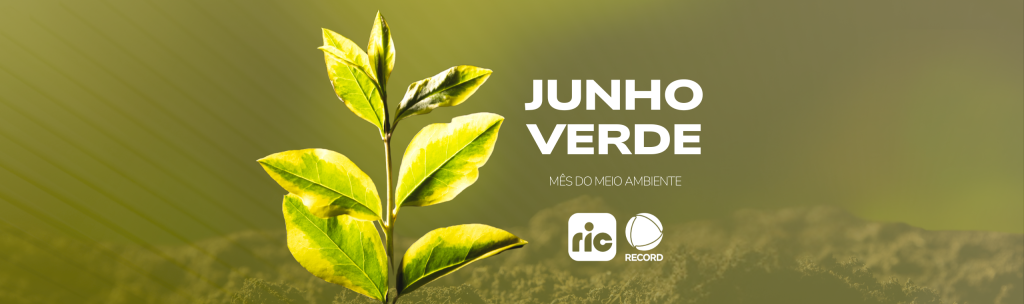Junho Verde